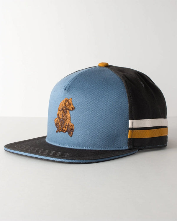 Brown Bear 6-Panel Hat