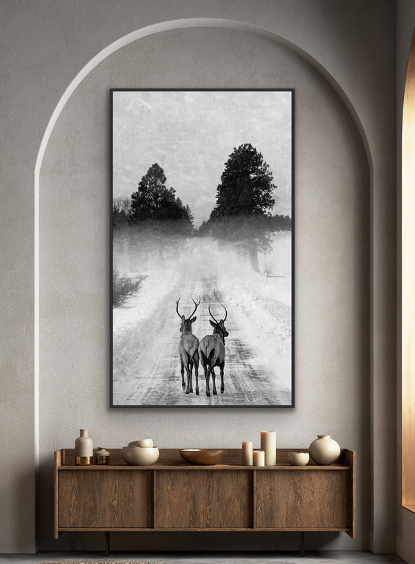 A Winter's Tale: Black and White Framed Canvas