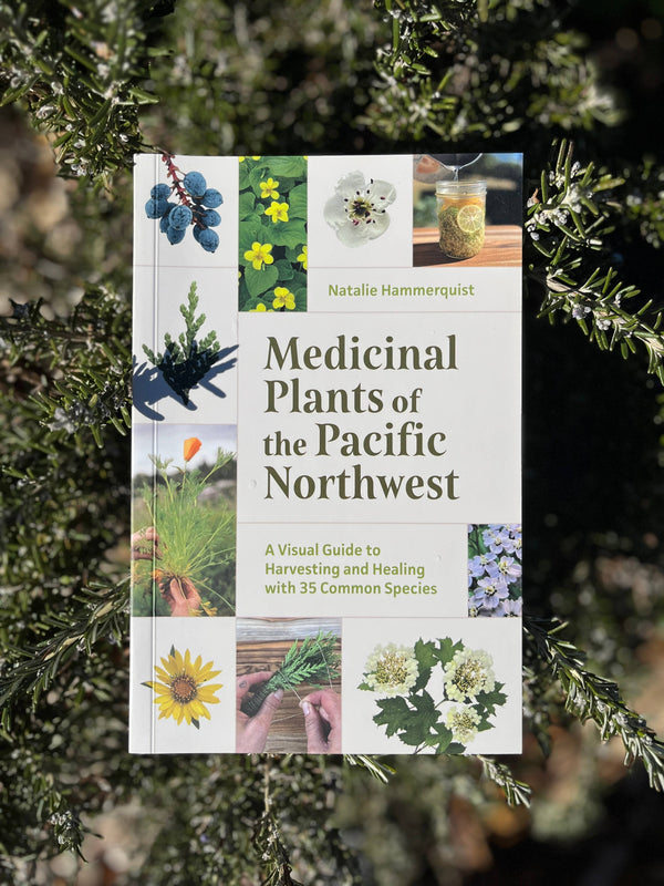 Medicinal Plants of the Pacific Northwest | By Natalie Hammerquist