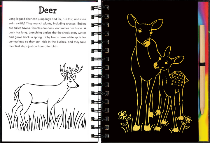 Forest Friends Scratch & Sketch™ Interactive Art Book for animal lovers