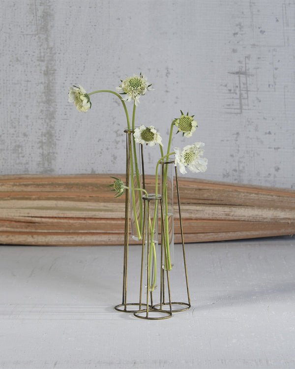 Golden Stem Cluster Vase