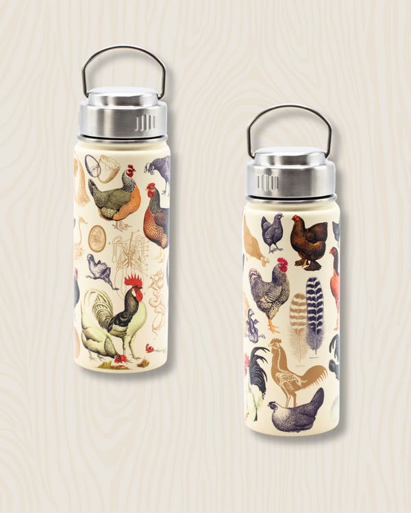 The Science of Chickens | 18oz Stainless Steel Insulated Bottle