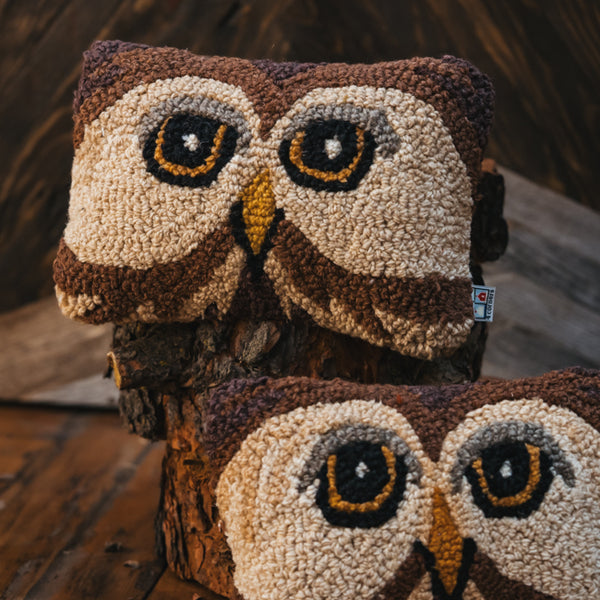 Wise Owl Eyes Pillow
