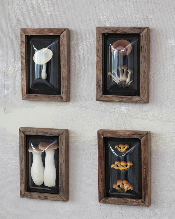 Wood Framed Mushroom Shadow Box | 4 Styles