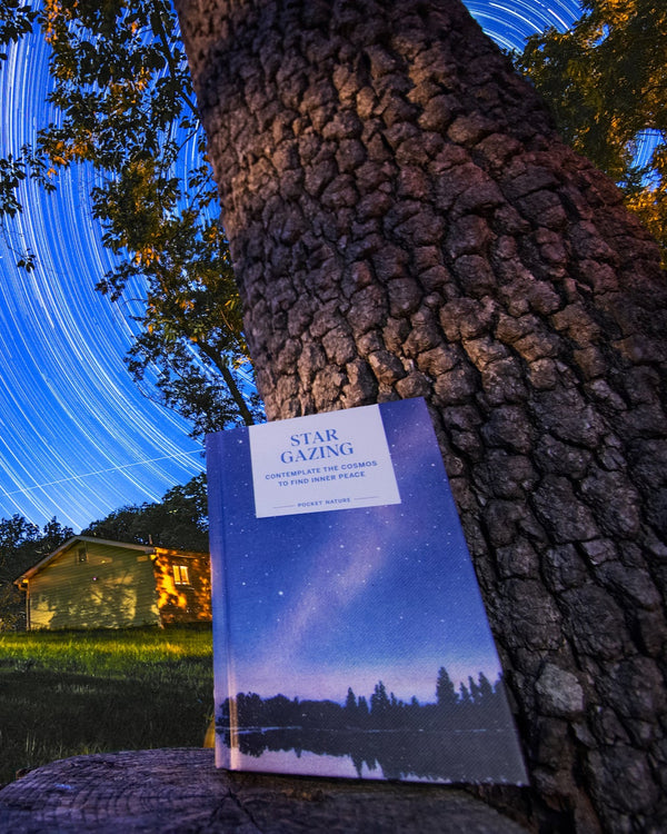 Pocket Nature: Stargazing