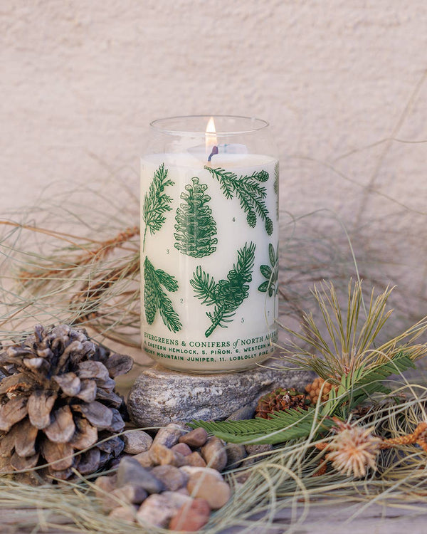Evergreens & Conifers Soy Candle