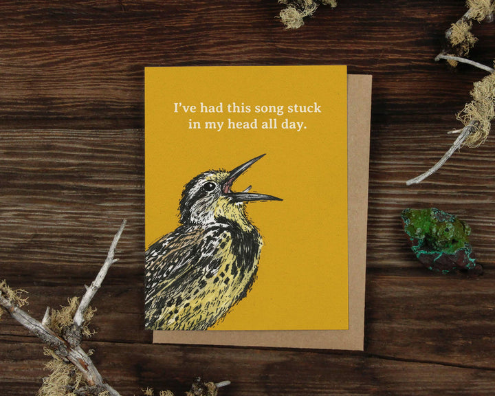 Bird Chatter Greeting Card Box Set