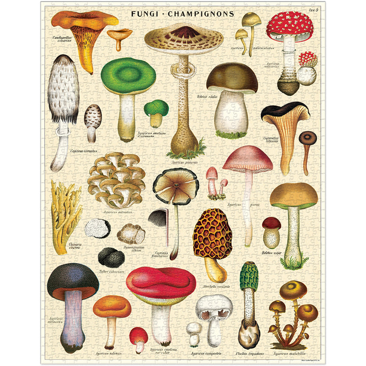 1,000 Piece Mushroom Puzzle